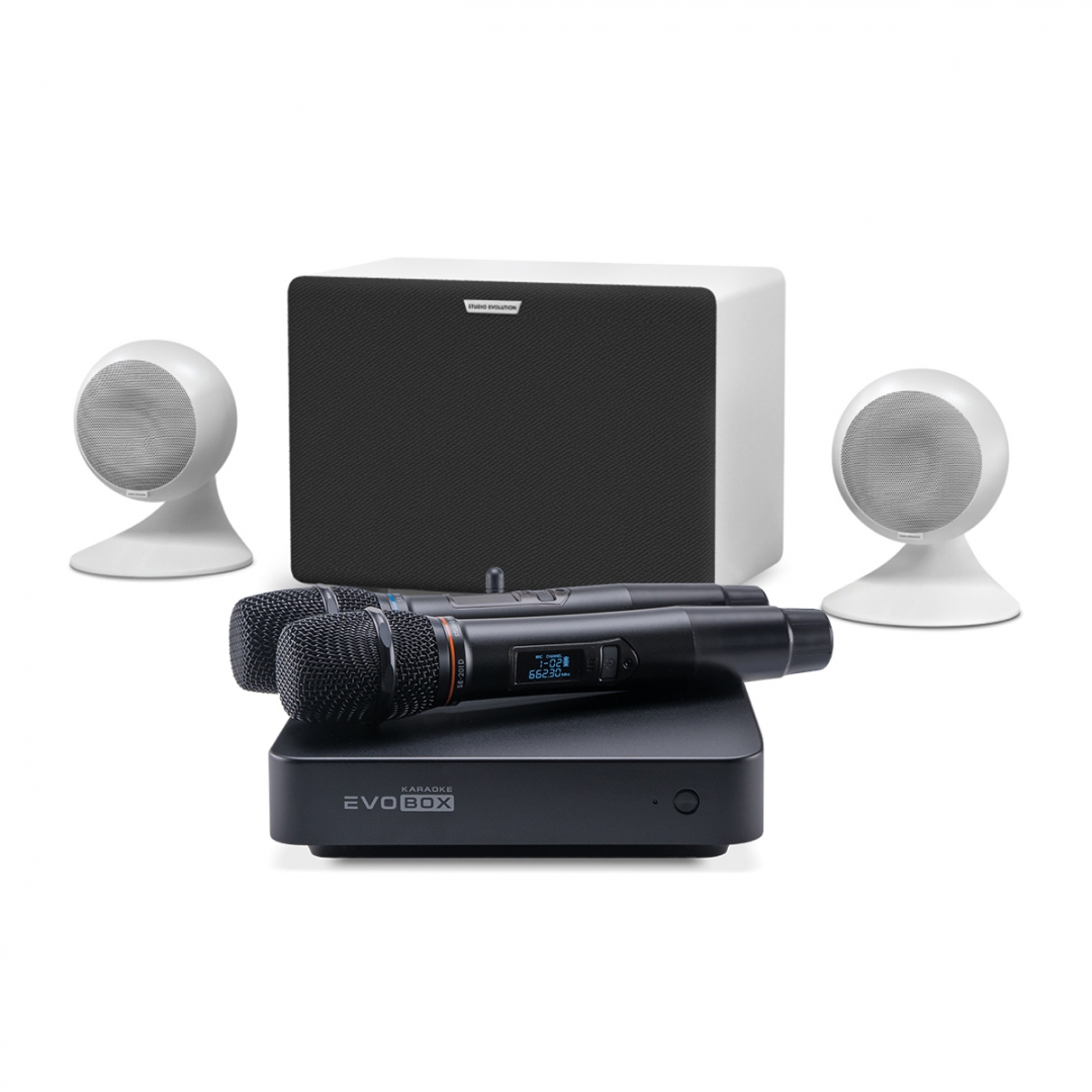 караоке-комплект EVOBOX Classic + EvoSound Sphere 2.1 в Апшеронске