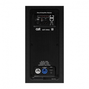 Активная акустическая система AST-310A в Апшеронске