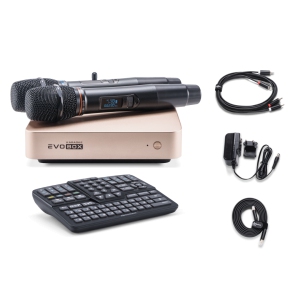 EVOBOX Classic караоке-система для дома в Апшеронске